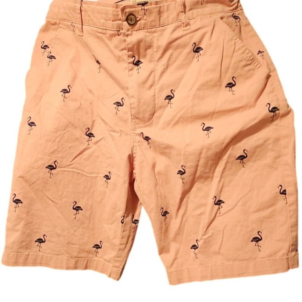 Hudson & Barrow Shorts Men Size 33 Flat Front Chino Shorts Preppy Flamingo Print